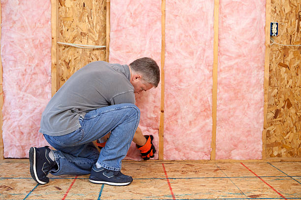 Best Insulation Repair Services  in Pasadena Hills, MO